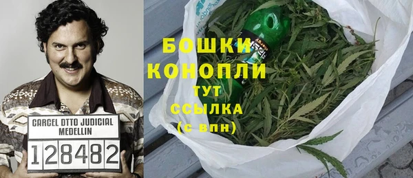 шишки Алексеевка